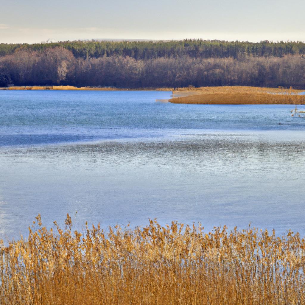 Jezioro Dobrzyczno