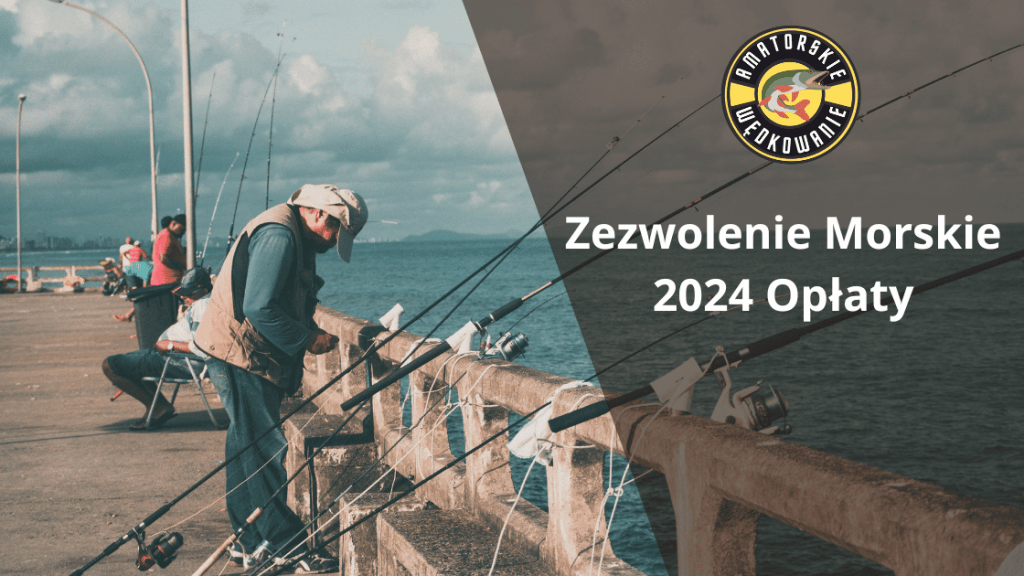 zezwolenie morskie 2024 opłaty