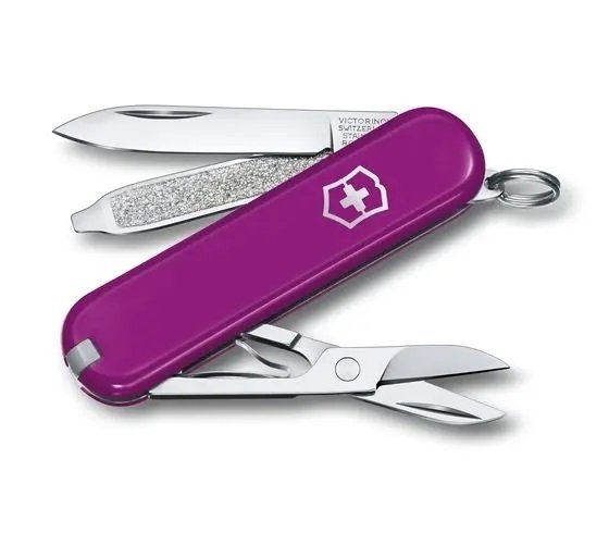 Scyzoryk Victorinox Classic SD "Tasty Grape" 0.6223.52G