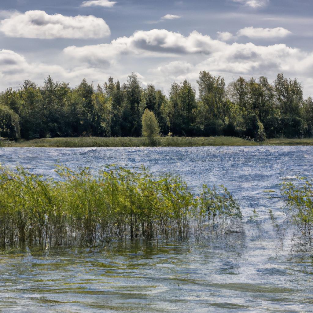 Jezioro Bielewo