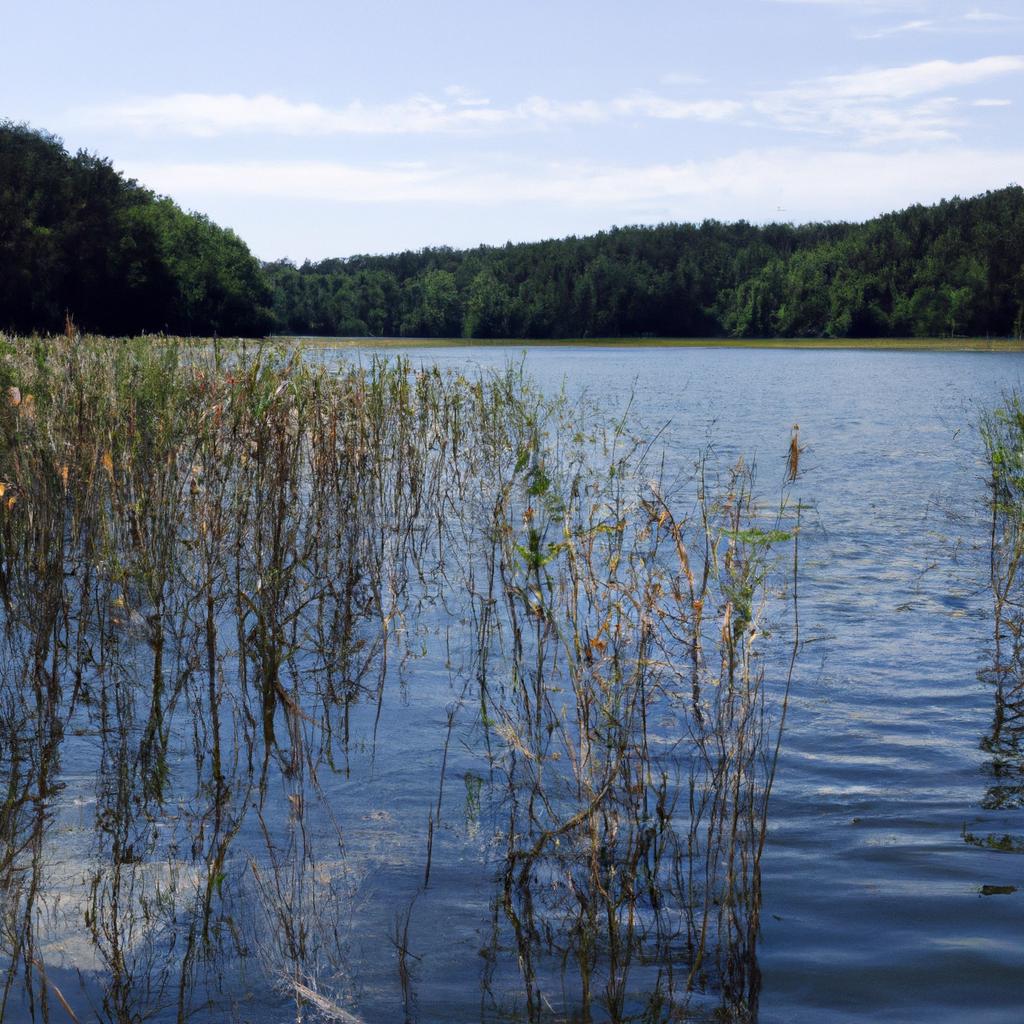 Jezioro Wolickie