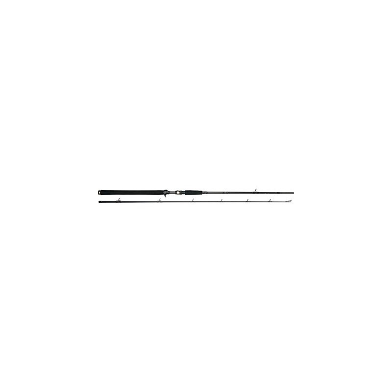 W3 Jerkbait-T 2nd 6'6"/195cm XXH 40-130g 2sec