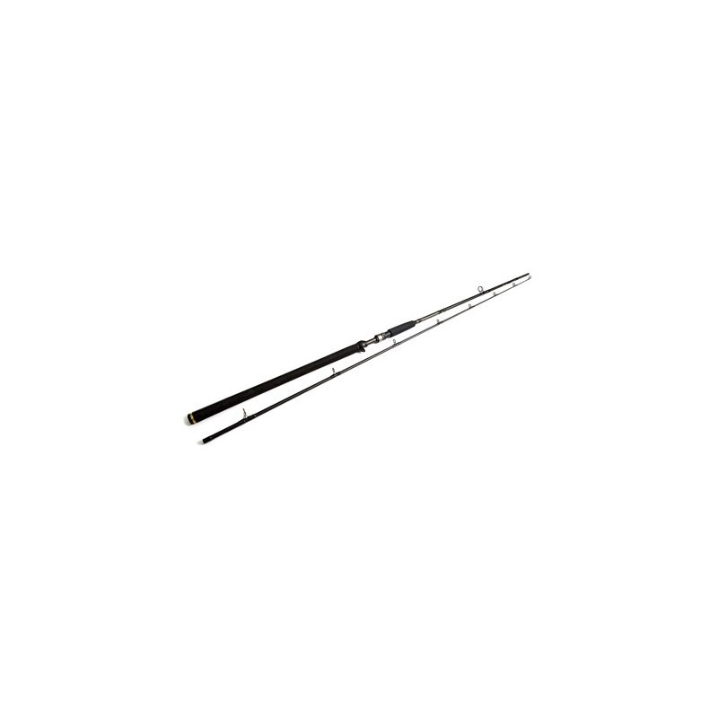 W3 Powercast-T 2nd 8'3"/248cm XH 20-80g 2sec