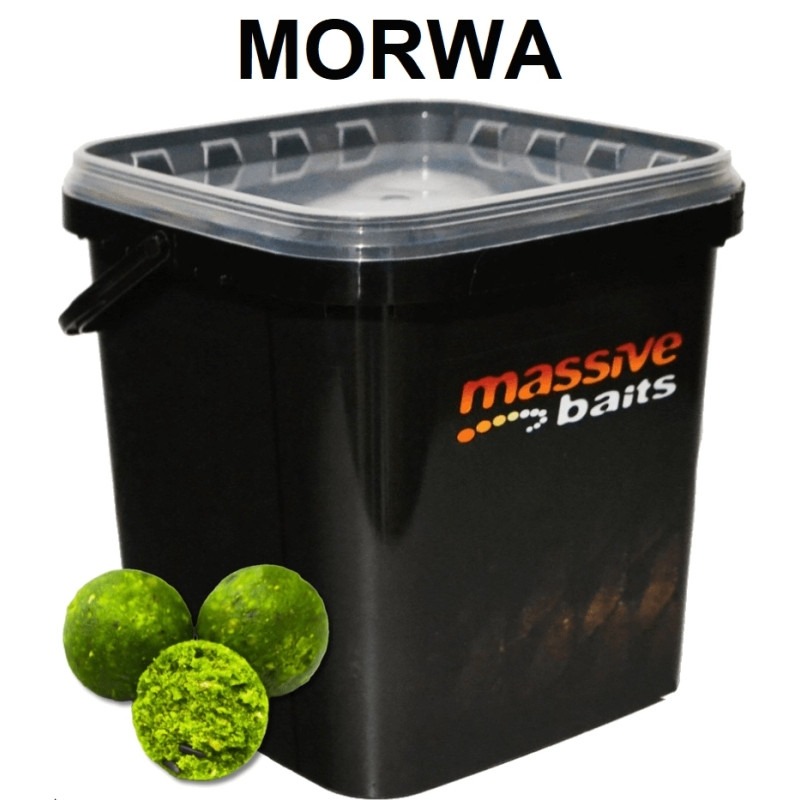 Massive Baits Eco Boilies 18mm MULBERRY 3 kg