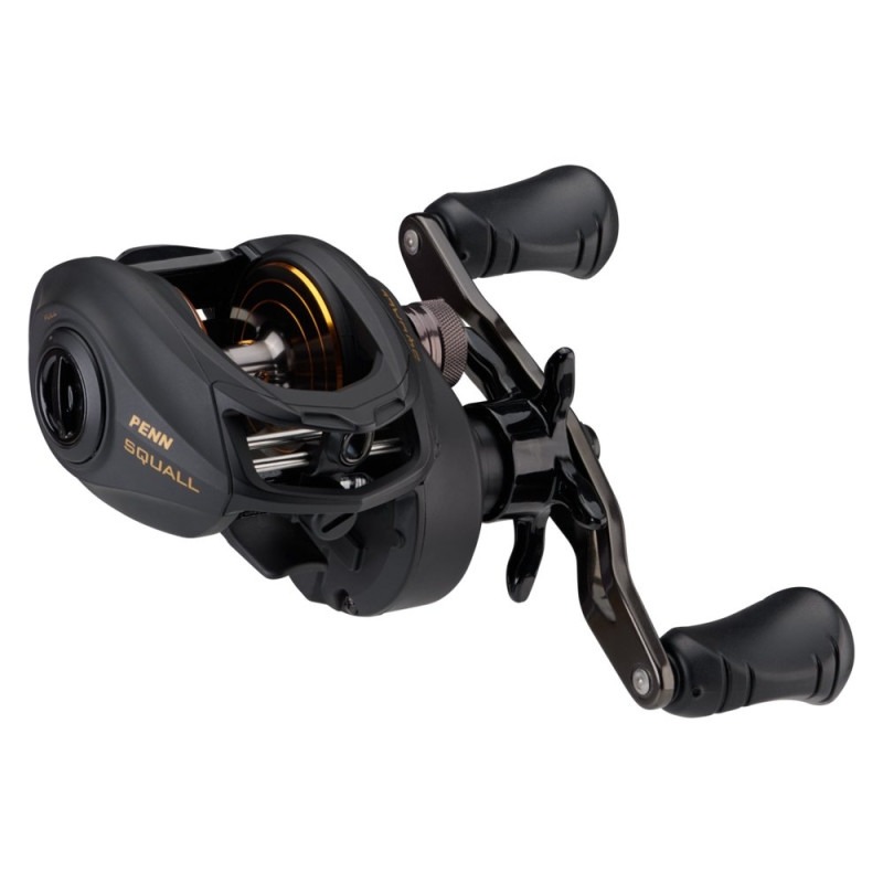MULTIPLIKATOR PENN SQUALL LOW PROFILE 300 1525506