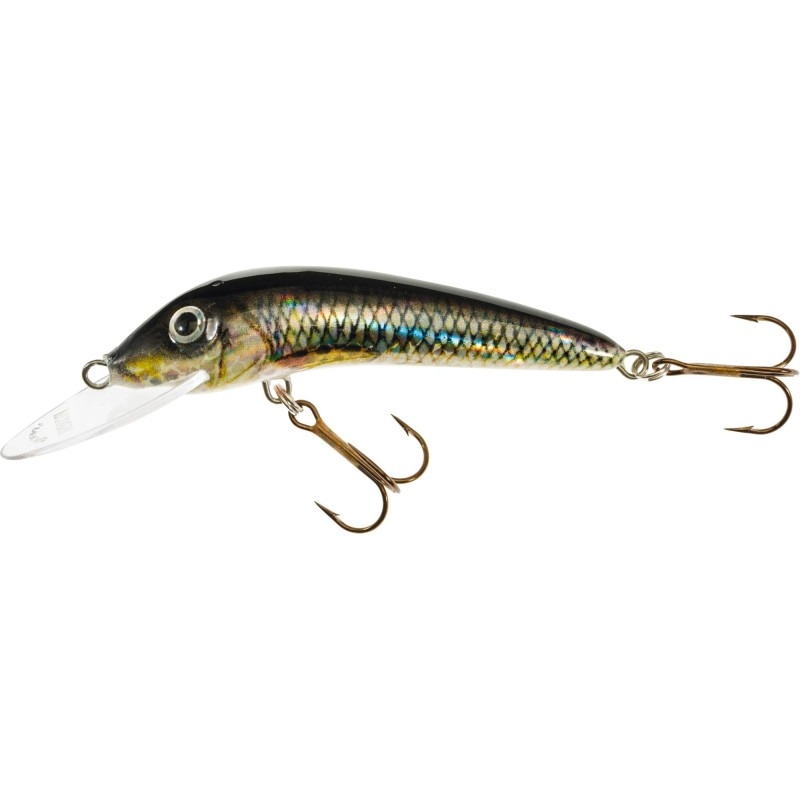 Wobler Jaxon Holo SELECT FEROX UV 8 F PE