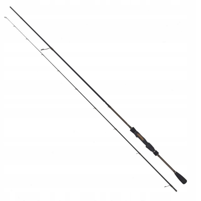 Robinson Wędka River Master Light Spin 2,90m 3-15g