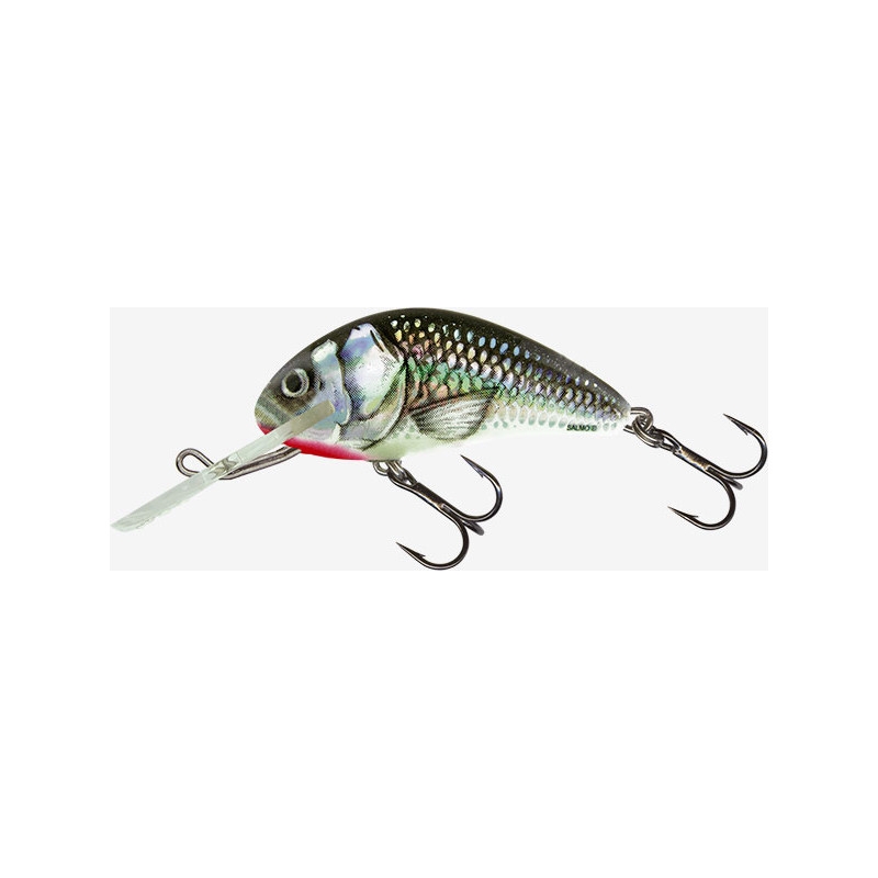Wobler Salmo Hornet 4S HGS