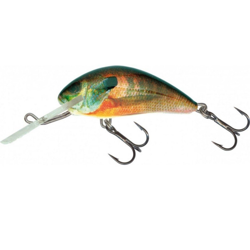Wobler Salmo Hornet 4S RS