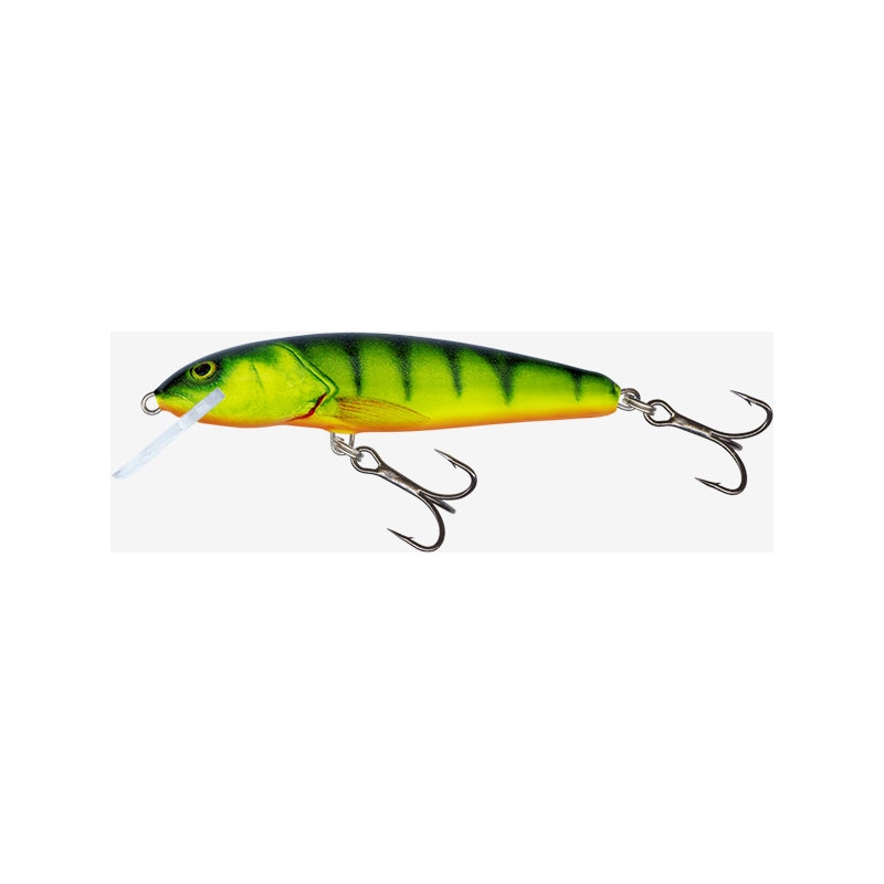 Wobler Salmo Minnow 6F HP