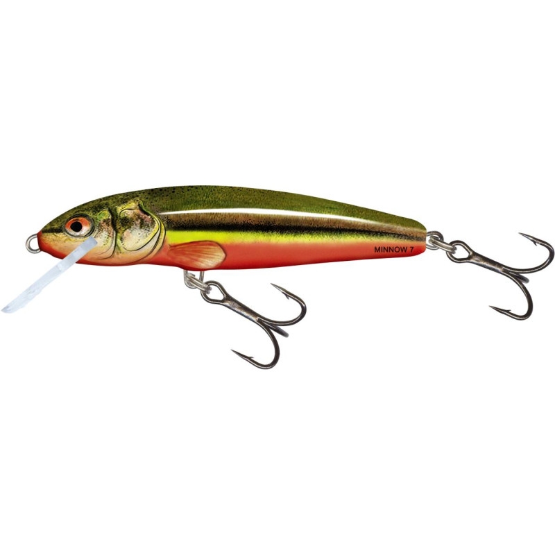 Wobler Salmo Minnow 7F RBD