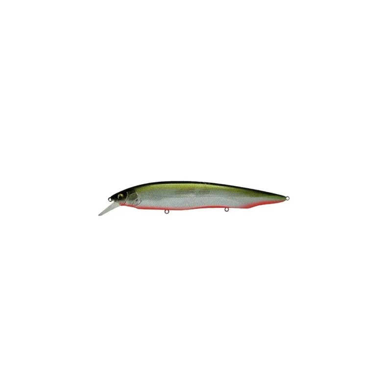 KANATA+1 M RB SHAD