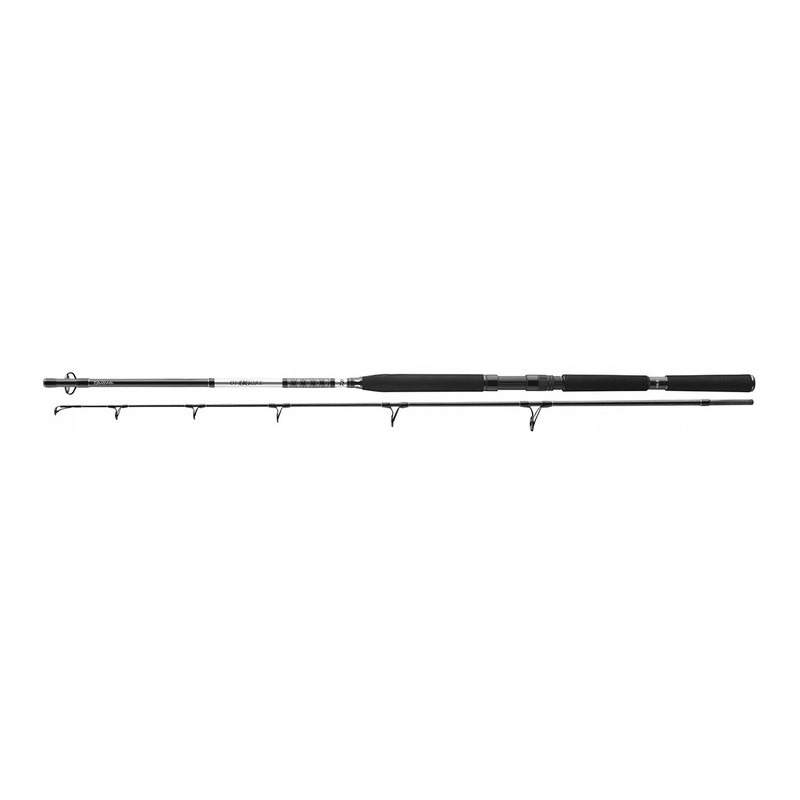 Daiwa BG Pilk 2,40m 50-165g