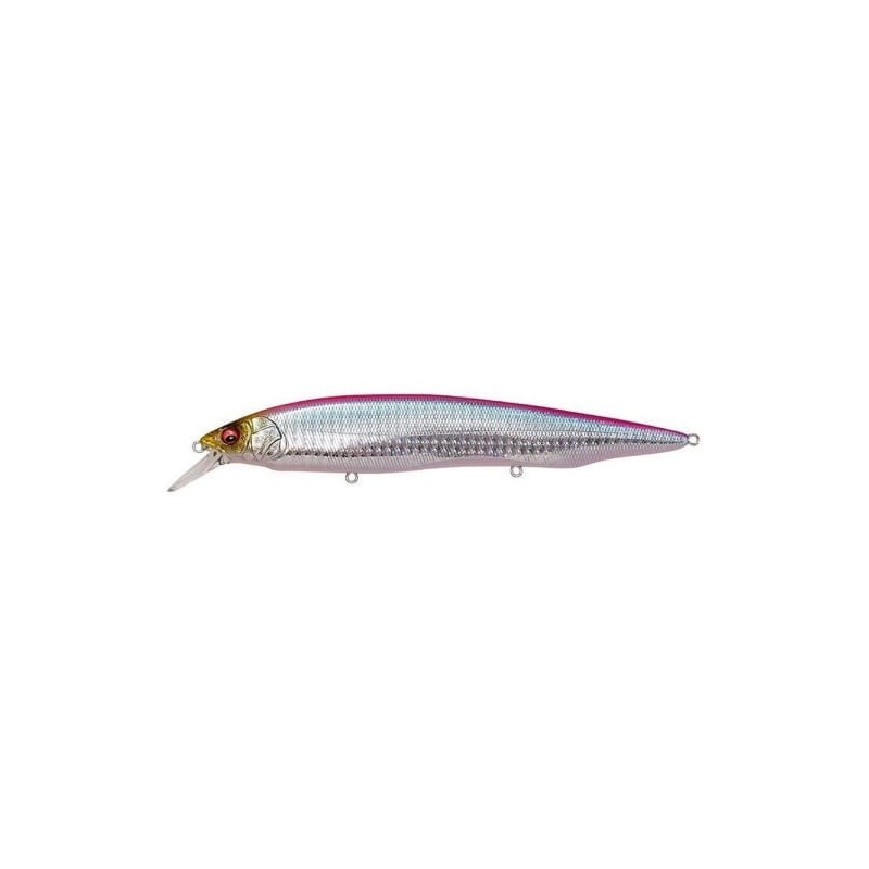 KANATA SW GG CORAL PINK BACK