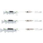 Zestaw sumowy MadCat Adjusta Profi River Rig Dedbait