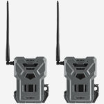 Fotopułapka Flex Twin (zestaw 2 sztuk)