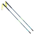 Kije trekkingowe Elbrus Fitzroy