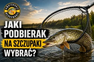 Jaki podbierak na szczupaki wybrać