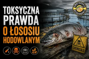 Toksyczna prawda o łososiu hodowlanym